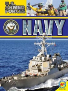 Navy 180411581