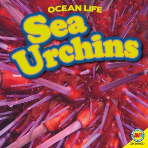 OceanLife-Sea Urchins
