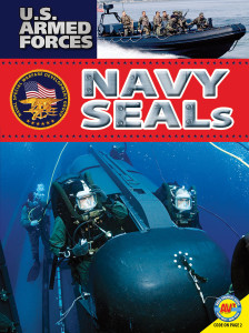 USAF-Navyseals