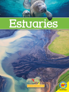 Ecosystems-Estuaries