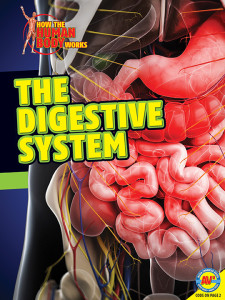 HTHBW-Digestive-System