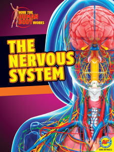 HTHBW-Nervous-System