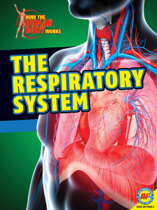 HTHBW-Respiratory-System