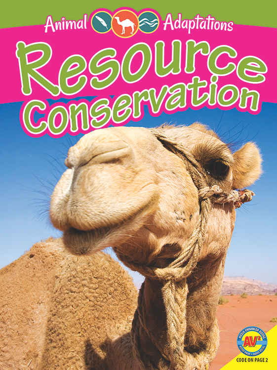 Animal Adaptations: Resource Conservation - Simon Rose | Simon Rose